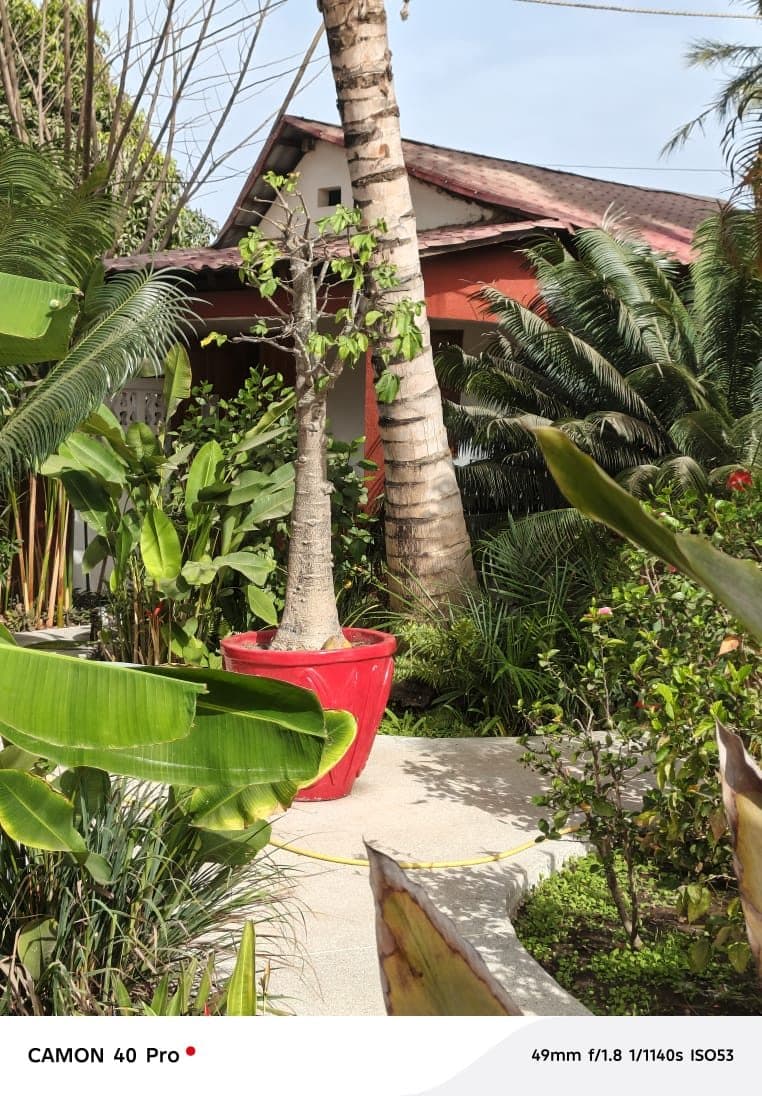 JARDIN TROPICAL