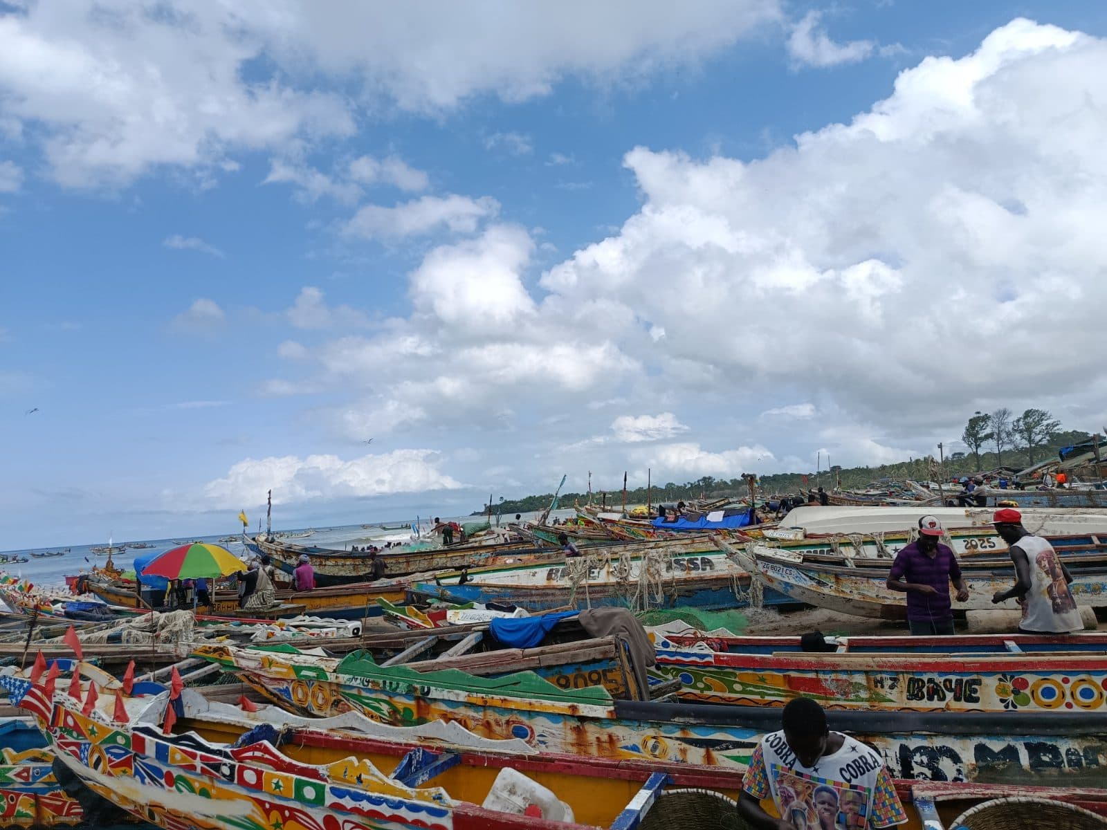 Port de pêche