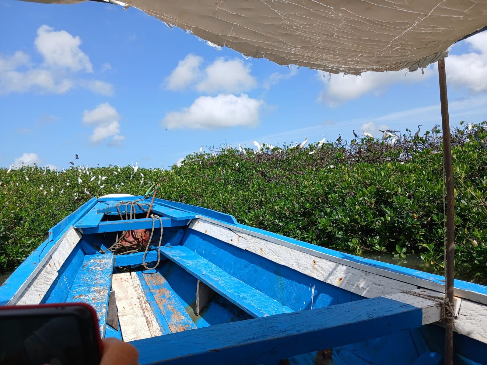 Sortie en pirogue pour 4 personnes