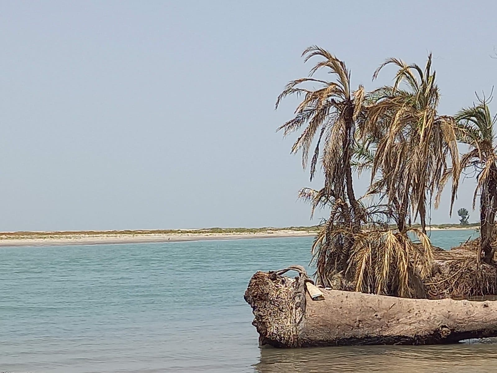 Les visites guidées de Campement Les Antilles Abéné