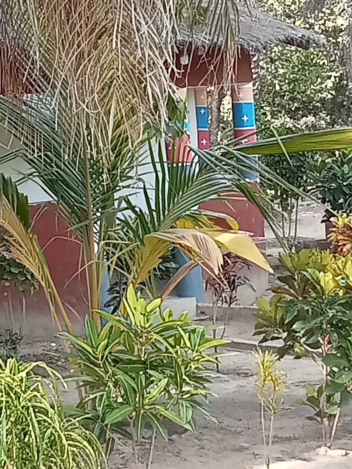 Les visites guidées de Campement Les Antilles Abéné