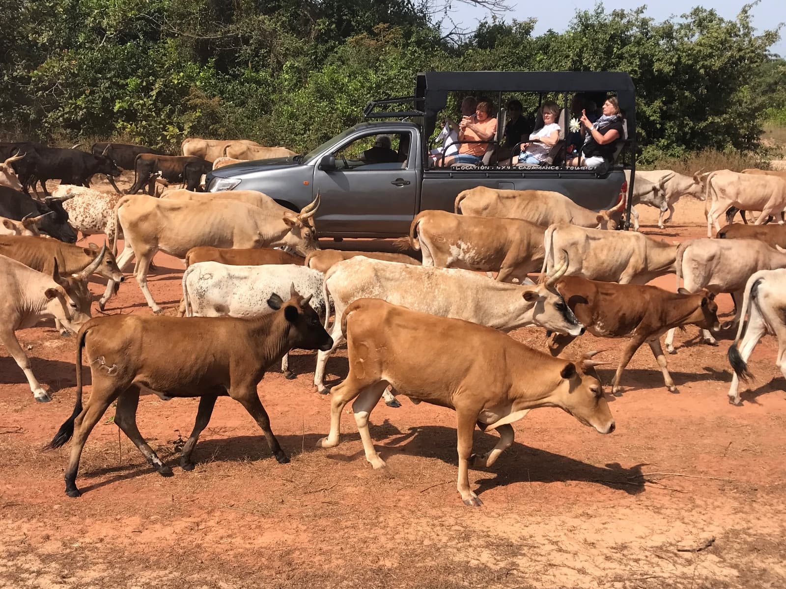 Holidays Services Casamance